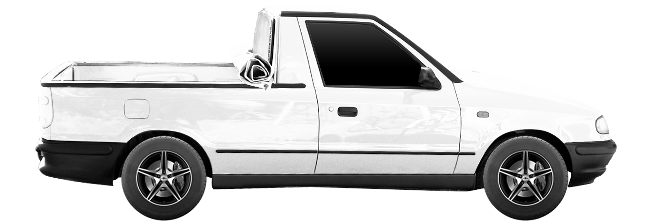 автонормы для VW CADDY II Пикап (9U7)