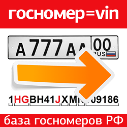 License plates and VIN codes of cars