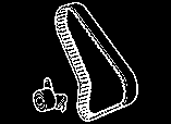 Timing belt