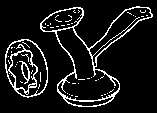 Bomba aceite motor